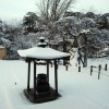 2008年2月10日 雪化粧 2008年2月10日 雪化粧